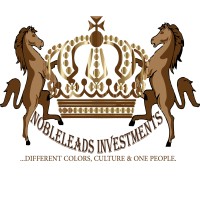 NOBLELEADS INVESTMENTS LLC logo - Similar company to Sardonyxstudios