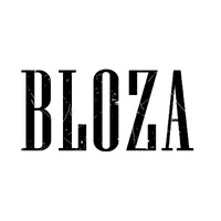 Bloza First Line Garments Trading L.L.C logo - Similar company to Bloza