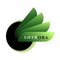 Entrora Systems logo - Similar company to Siiwii.Network