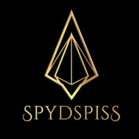 Spydspiss Gruppen AS logo - Similar company to Management Synergy