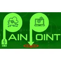 Pain Point IT Solutions Inc. logo - Similar company to Spectrum Computing Solutions