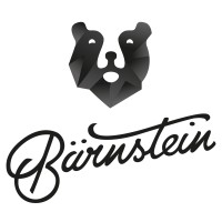 Bärnstein logo - Similar company to Hydrosolid® - Hydrogen Technology