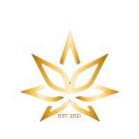 YBI Consulting logo - Similar company to Ybi Evolve