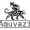 Aguvazi logo - Similar company to Designdev