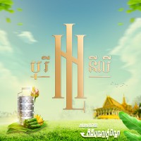 Borey Nyly - បុរី នីលី logo - Similar company to Borey Bunly បុរី ប៊ុនលី