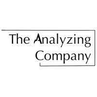 The Analyzing company logo - Similar company to Innovative Configuration Inc