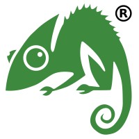 Chameleon Web Services logo - Similar company to Webology
