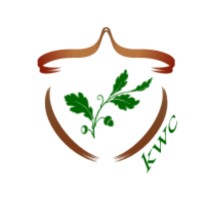 kor wellness consulting logo - Similar company to N2H2 Inc