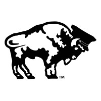 Buffalo Limousine logo - Similar company to Classique Worldwide Transportation