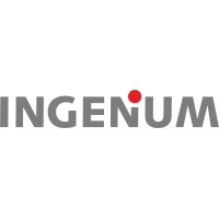 Ingenium AG logo - Similar company to Trilix Engineering Ag