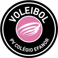Projeto Voleibol Colégio Efanor logo - Similar company to Fi Consulting