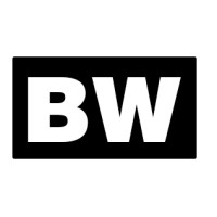 Best Web Solutions logo - Similar company to Blueweb