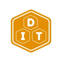 Diligent IT Solutions logo - Similar company to Logical Cloud