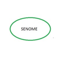 SENOME logo - Similar company to Senome
