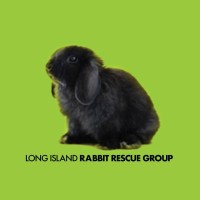 Long Island Rabbit Rescue Group logo - Similar company to The Rabbit Sanctuary