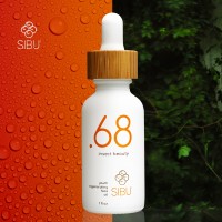 Point68 Insect Beauty logo - Similar company to Beeghee Inc
