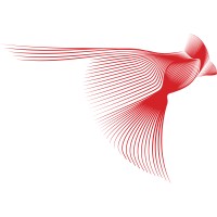 RedBird Capital Partners logo - Similar company to Qatar Sports Investments