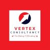Vertex Consultancy logo - Similar company to L3 - Vertex Aerospace