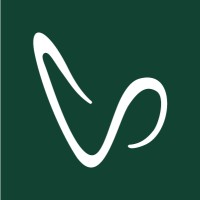 RIS Valves logo - Similar company to Ris Iberia