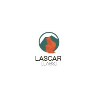 Lascar Labs SpA. logo - Similar company to Minerix