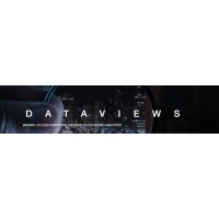 Data View Systems logo - Similar company to Pinnacle Technology Systems