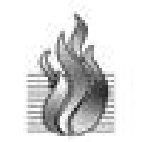 Sandra Bornstein Holocaust Education Center logo - Similar company to Wildlands Trust