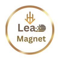 Lead Magnet Services logo - Similar company to Lead Magnet