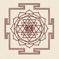 Neeyat AI logo - Similar company to Webxolve - Web Design And Development