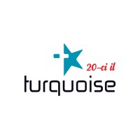 Turquoise Group logo - Similar company to Midwest Access Solutions