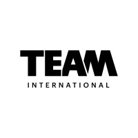 TEAM International logo - Similar company to Metest Group