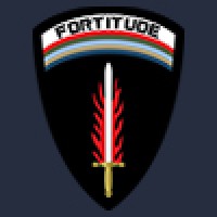 Fortitude EI logo - Similar company to Guetchlyshop