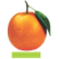 Orange Insurance Brokers Limited logo - Similar company to El Lugar
