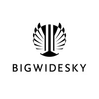 Bigwidesky logo - Similar company to Royce Digital - Acquired By Decisionpoint Systems