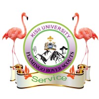 Kisii University Flamingo Rover Scouts