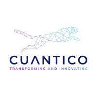 Cuantico logo - Similar company to Fedesoft Colombia