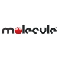 Molecule Corp. logo - Similar company to Roco