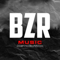 BZR Music Chile logo - Similar company to Cactus Music