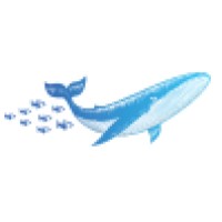 Crypto Follow