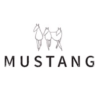 Mustang Productions logo - Similar company to Bm Marketing