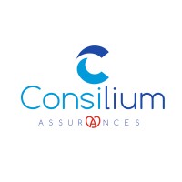 Consilium Assurances logo - Similar company to Start Electricite