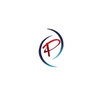 Team Pinnacle logo - Similar company to Vault 🛡️