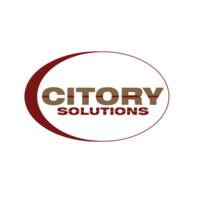 Citory Solutions LLC logo - Similar company to Blown Away Llc