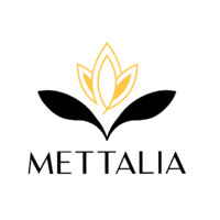 Mettalia.mx logo - Similar company to Building It Solutions