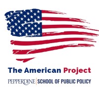 The American Project logo - Similar company to Mediafutures.Eu