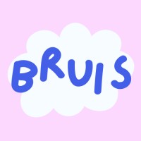Bruis logo - Similar company to Bruis