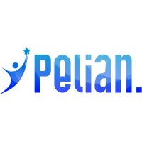 Pelian logo - Similar company to Bfi School