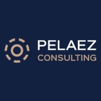 Peláez Consulting logo - Similar company to Consultoria Code