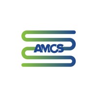 Amal Management Consulting logo - Similar company to Cds Management Consulting