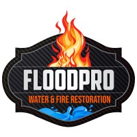 FloodPro logo - Similar company to Flood Pro