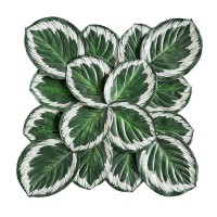 Calathea Pharma logo - Similar company to Acgt Vector